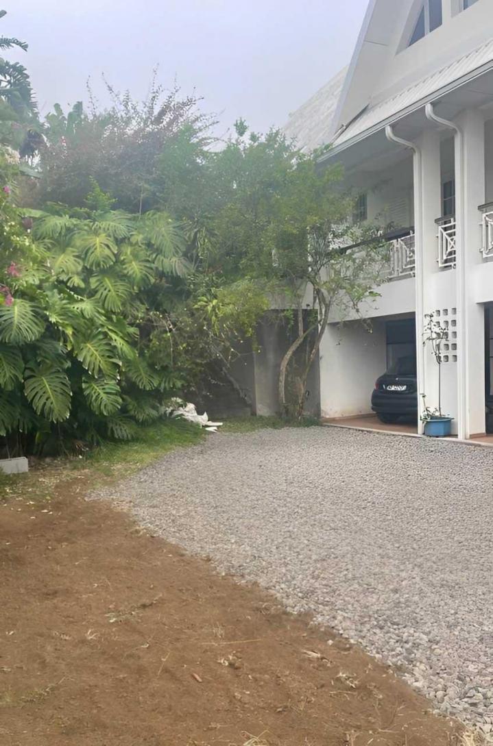 Travaux d'enrochement Île de la Réunion